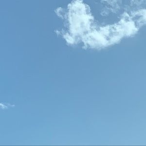 Meet your Posher, Jack